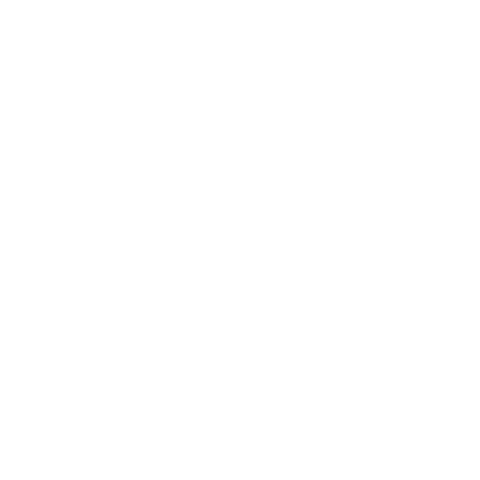 Selectel