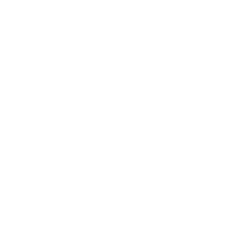 AORUS